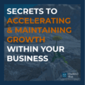 Accelerating and maintaining growth blog