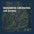 Business growing or dying blog|