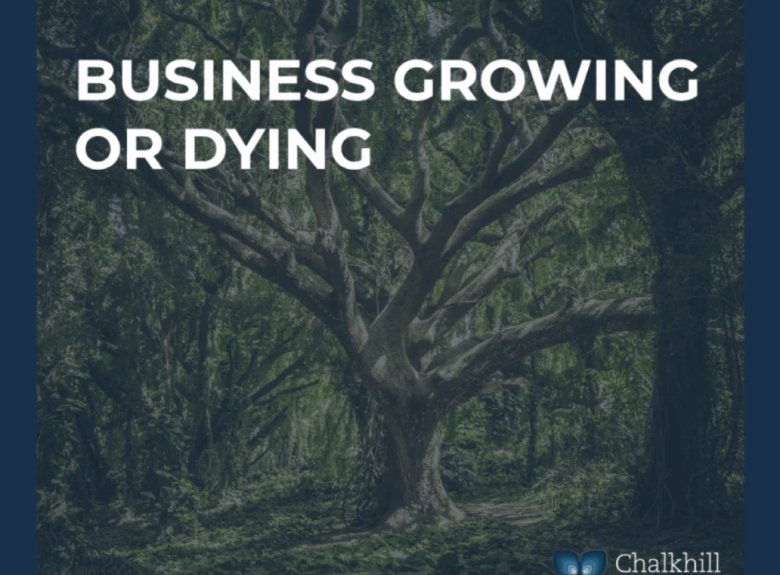 Business growing or dying