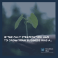 Growth strategy blog