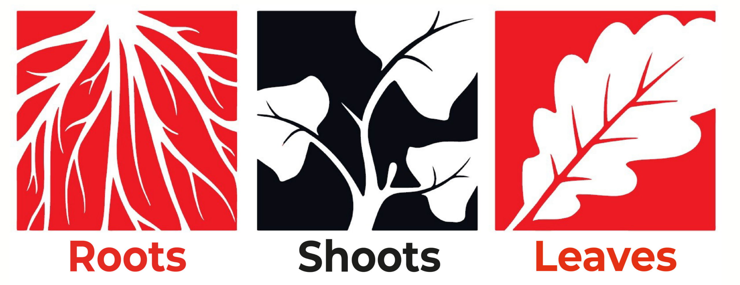 How Roots Shoots Leaves grew from £400k to over £1m turnover and secured smart funding to accelerate growth